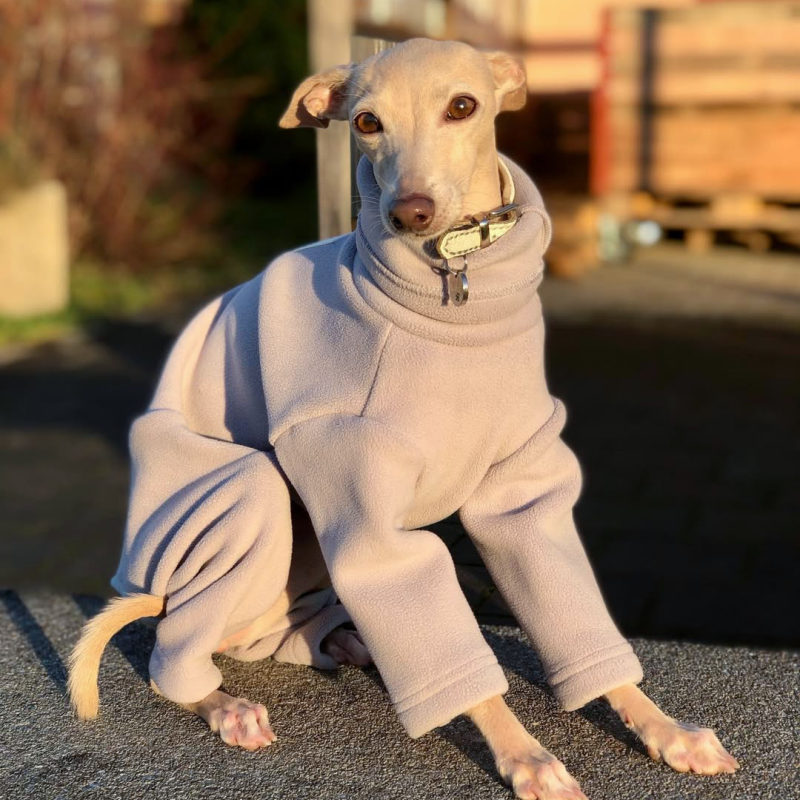 犬服・アクセサリー TiTiTi /and Charlie/STARBOXx/ peak/ Turtleneck_Fleece_Onesie_for_I