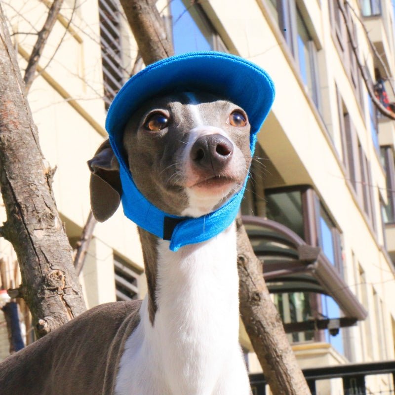 Adjustable Dog Baseball Cap with Ear Holes Outdoor Sunscreen Pet Hat - PIKAPIKA