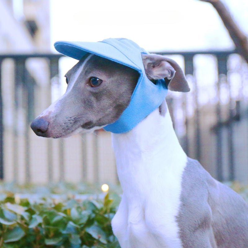 Adjustable Dog Baseball Cap with Ear Holes Outdoor Sunscreen Pet Hat - PIKAPIKA