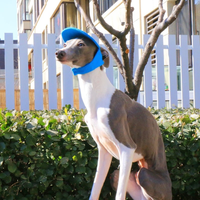Adjustable Dog Baseball Cap with Ear Holes Outdoor Sunscreen Pet Hat - PIKAPIKA