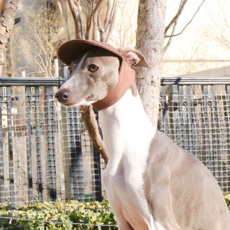 Adjustable Dog Baseball Cap with Ear Holes Outdoor Sunscreen Pet Hat - PIKAPIKA