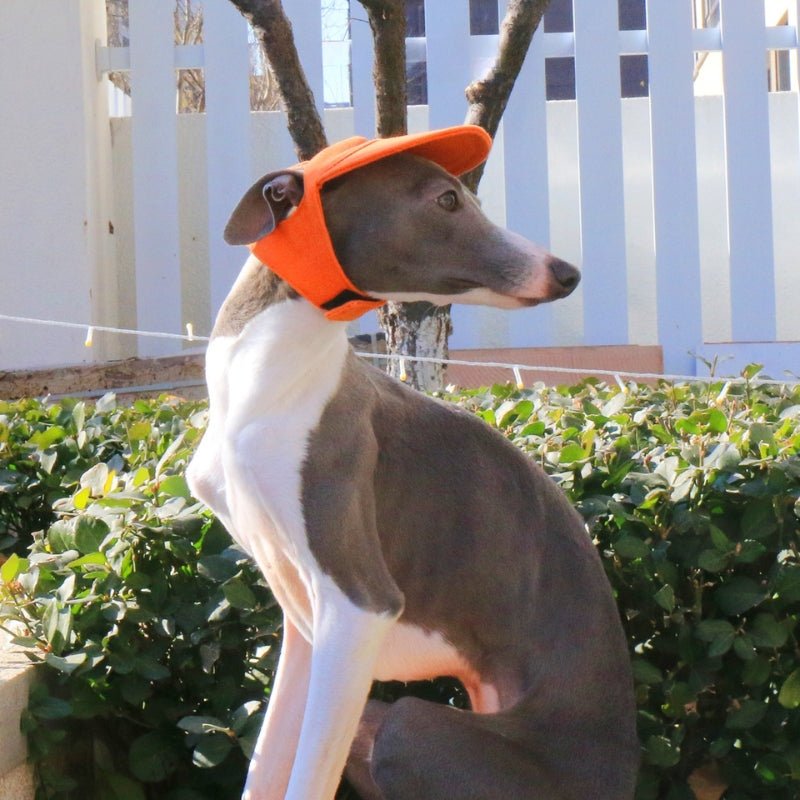 Adjustable Dog Baseball Cap with Ear Holes Outdoor Sunscreen Pet Hat - PIKAPIKA