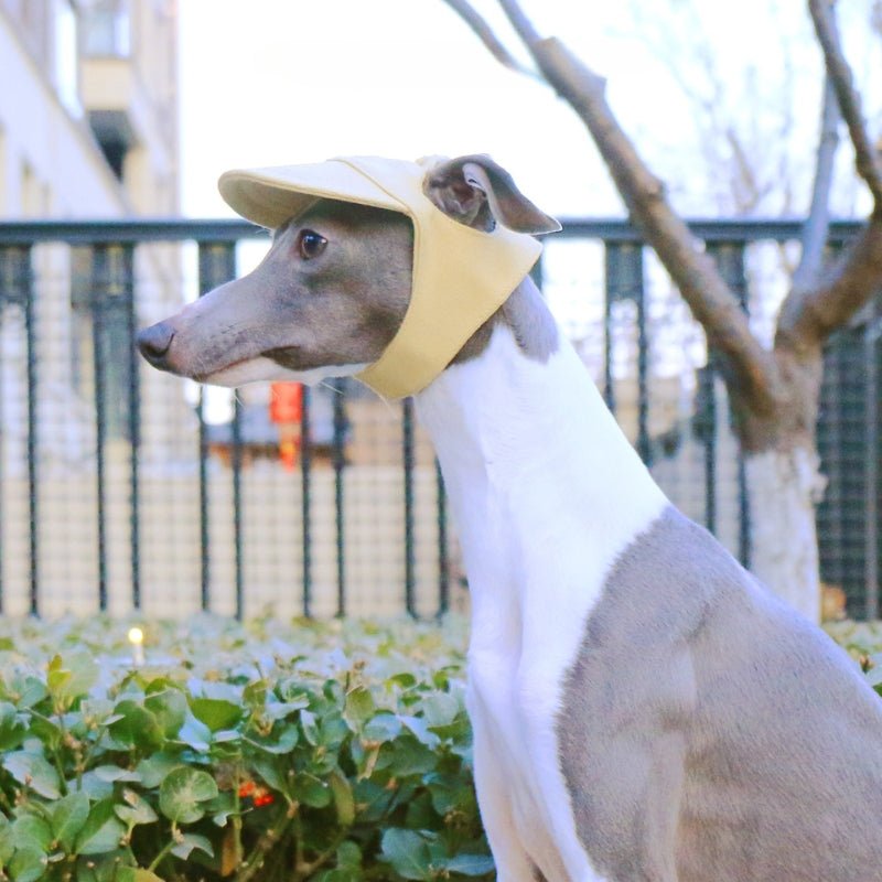 Adjustable Dog Baseball Cap with Ear Holes Outdoor Sunscreen Pet Hat - PIKAPIKA