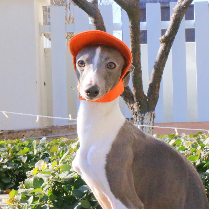 Adjustable Dog Baseball Cap with Ear Holes Outdoor Sunscreen Pet Hat - PIKAPIKA