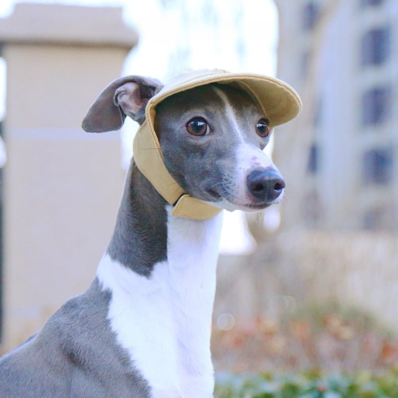 Adjustable Dog Baseball Cap with Ear Holes Outdoor Sunscreen Pet Hat - PIKAPIKA