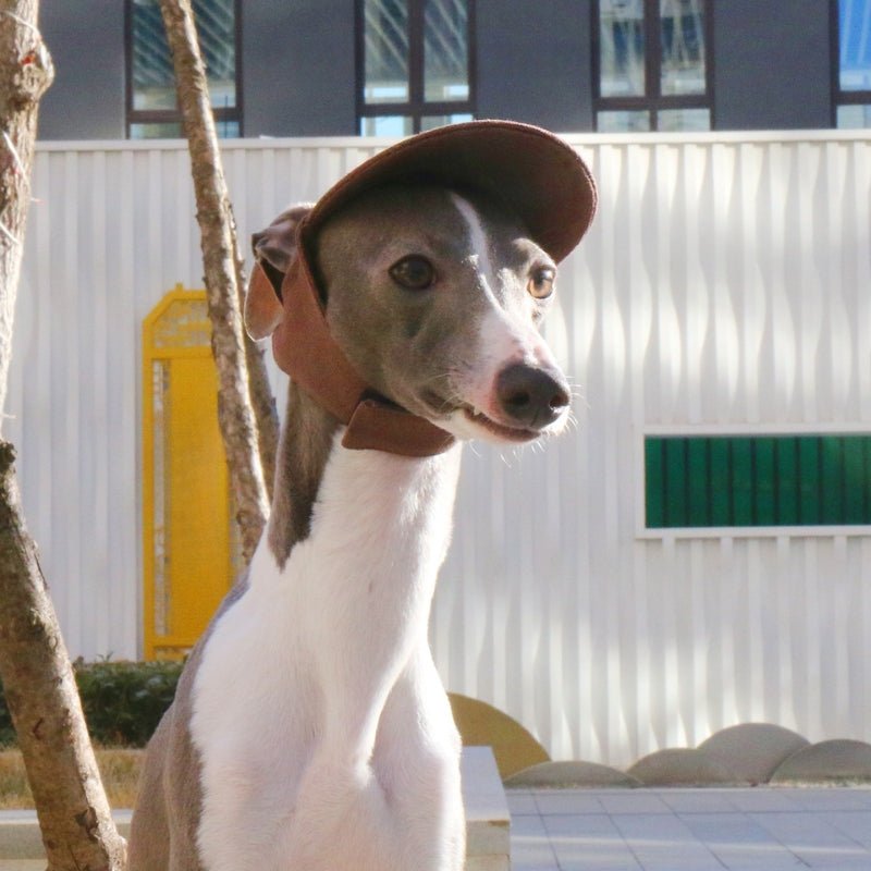 Adjustable Dog Baseball Cap with Ear Holes Outdoor Sunscreen Pet Hat - PIKAPIKA