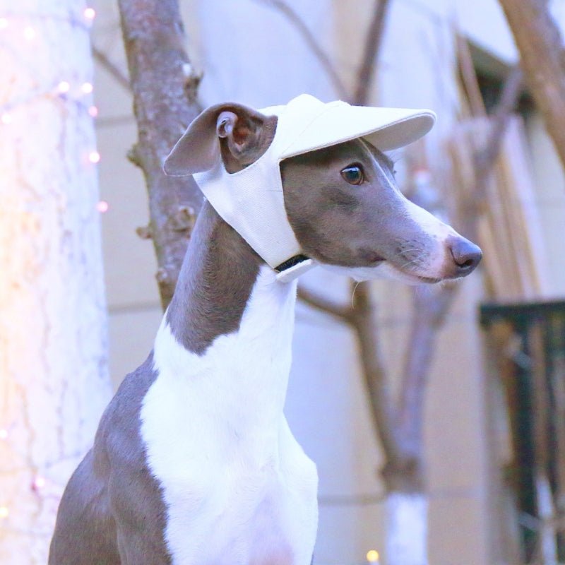 Adjustable Dog Baseball Cap with Ear Holes Outdoor Sunscreen Pet Hat - PIKAPIKA