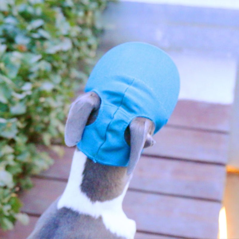 Adjustable Dog Baseball Cap with Ear Holes Outdoor Sunscreen Pet Hat - PIKAPIKA