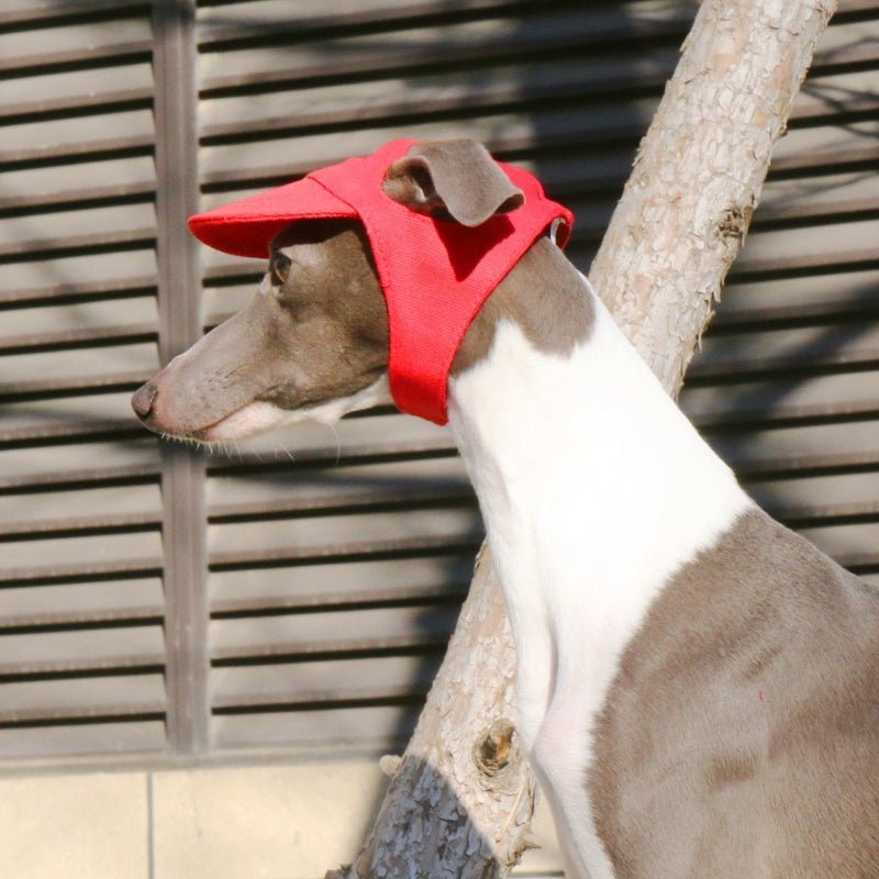 Adjustable Dog Baseball Cap with Ear Holes Outdoor Sunscreen Pet Hat - PIKAPIKA