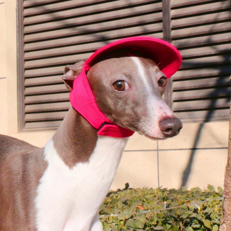 Adjustable Dog Baseball Cap with Ear Holes Outdoor Sunscreen Pet Hat - PIKAPIKA