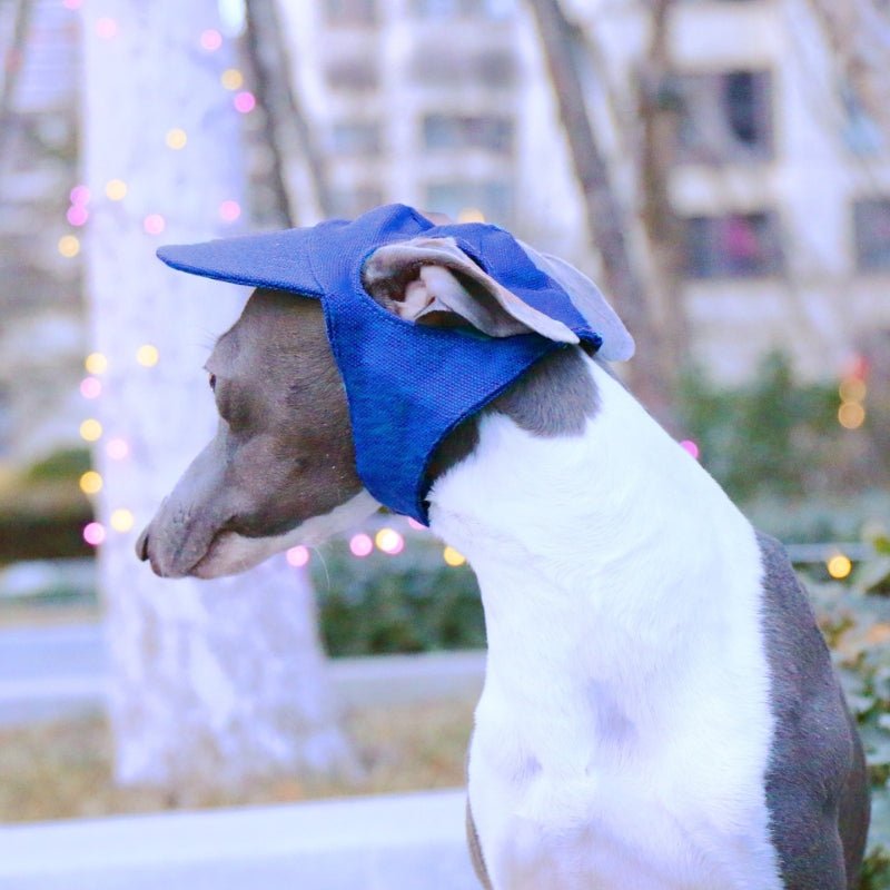 Adjustable Dog Baseball Cap with Ear Holes Outdoor Sunscreen Pet Hat - PIKAPIKA