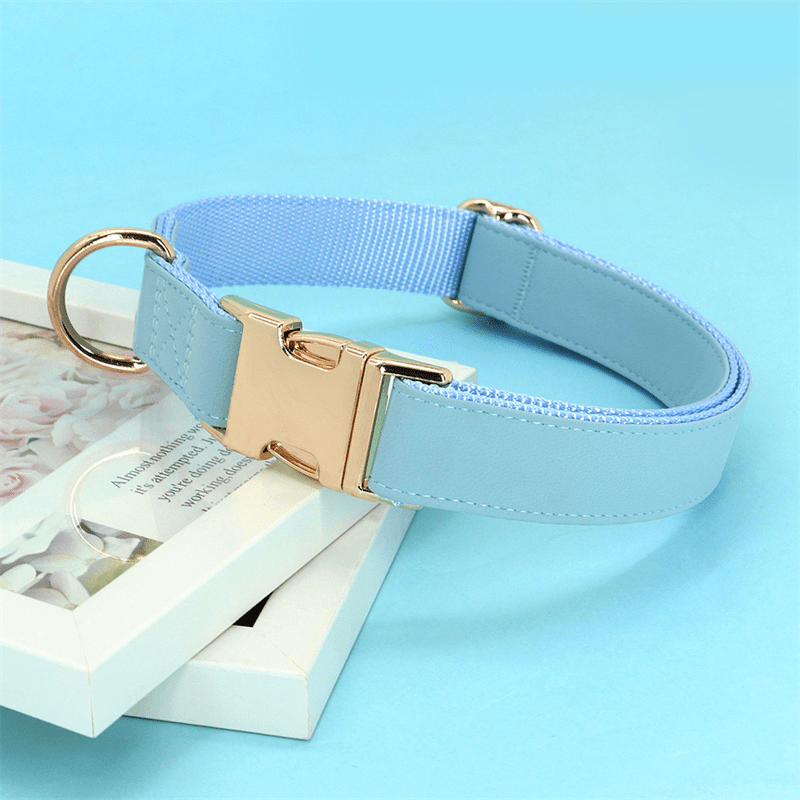 Adjustable Engraved Dog Collar Anti - Loss with Leash for Medium & Large Dogs - PIKAPIKA
