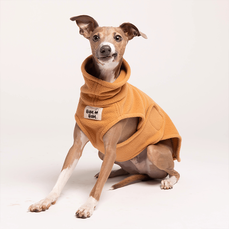 Adjustable Fleece Vest Greyhound Whippet Dog Clothes - PIKAPIKA