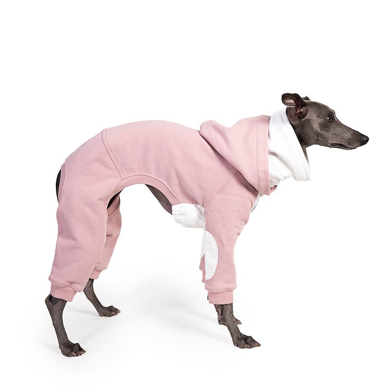Albany Hoodie Onesies Luxury Italian Greyhound Whippet Diog Clothes - PIKAPIKA