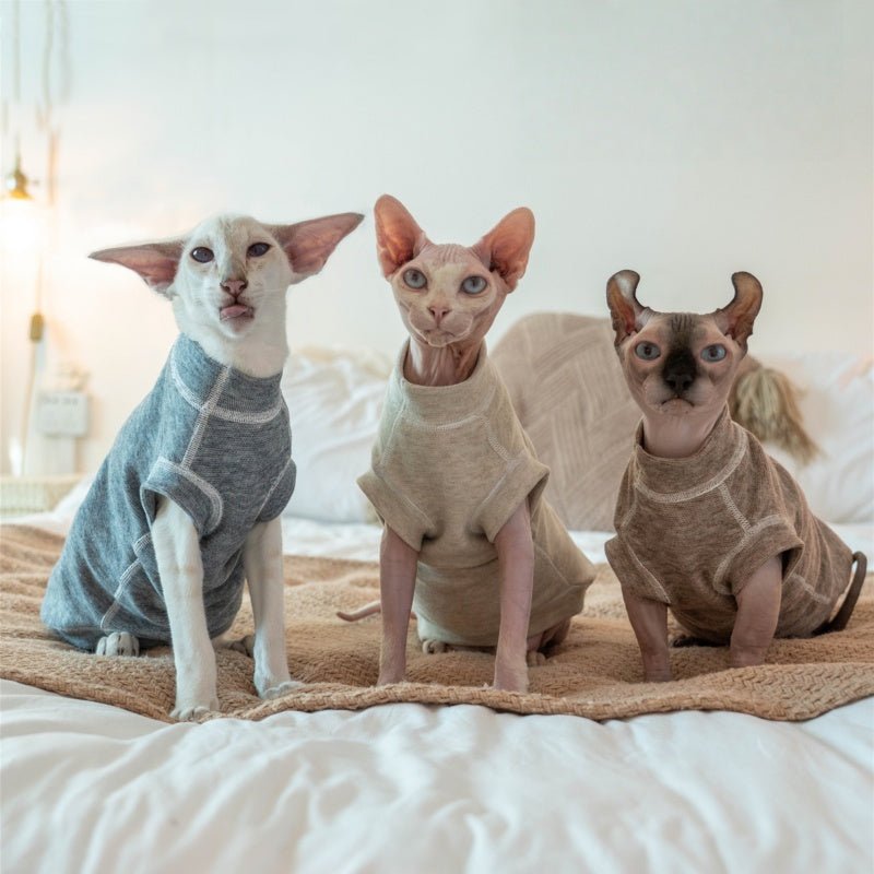 Anti - Allergy Seamless Warm Soft Cotton Undershirt Vest Sphynx Cat Clothes - PIKAPIKA