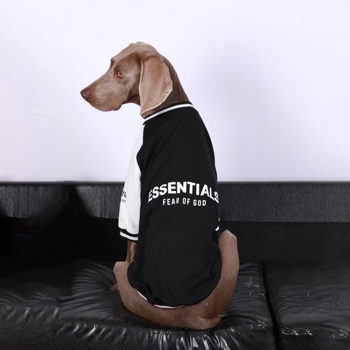 Baseball Jacket Big Dog Clothes - PIKAPIKA