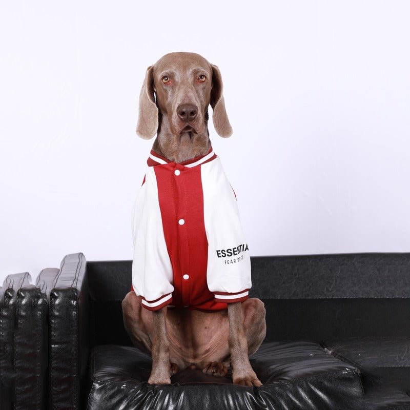 Baseball Jacket Big Dog Clothes - PIKAPIKA