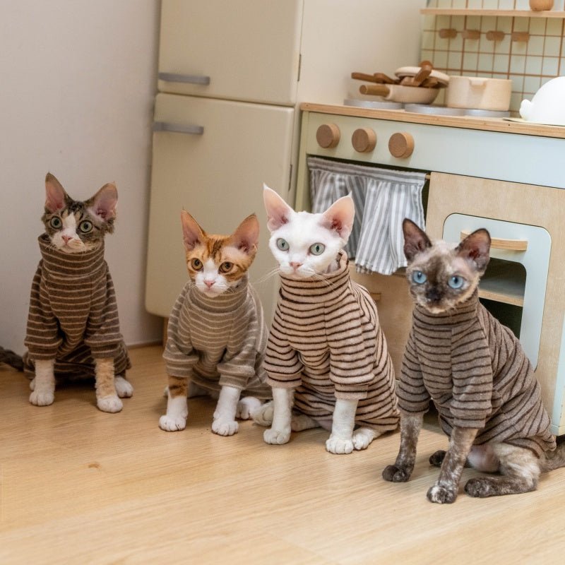 Basic Towel Shirt Devon Rex Cat Clothes Warm Undershirt Sweatshirt - PIKAPIKA
