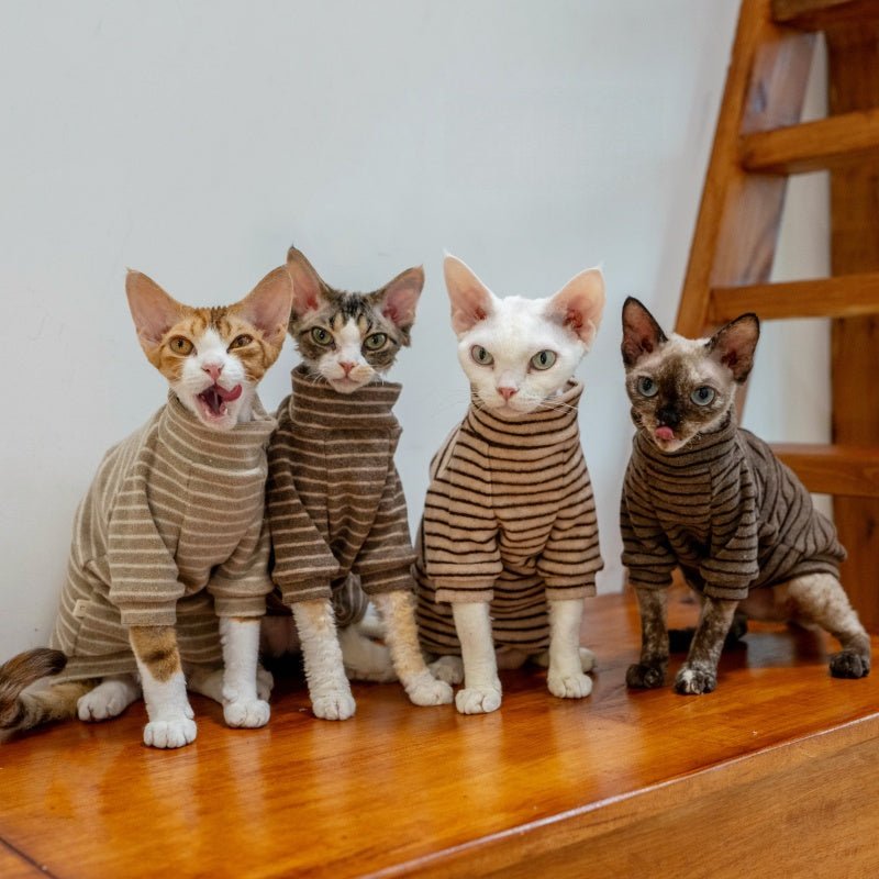 Basic Towel Shirt Devon Rex Cat Clothes Warm Undershirt Sweatshirt - PIKAPIKA