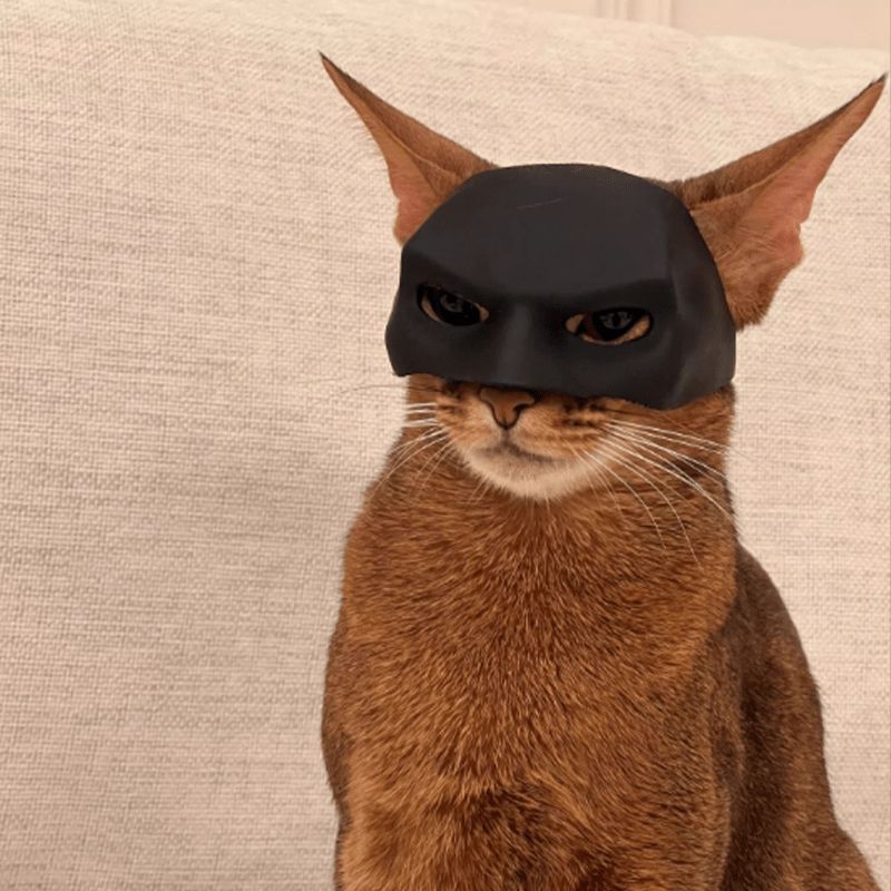 Batman Halloween Costume Cat Mask Pet Headgear Cosplay Funny Cat Toy Prop - PIKAPIKA