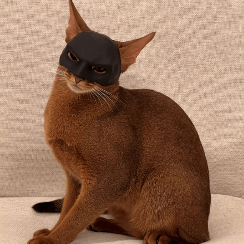 Batman Halloween Costume Cat Mask Pet Headgear Cosplay Funny Cat Toy Prop - PIKAPIKA