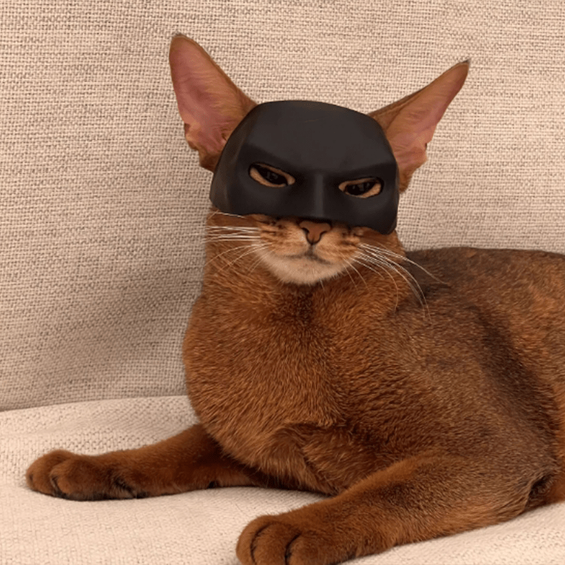 Batman Halloween Costume Cat Mask Pet Headgear Cosplay Funny Cat Toy Prop - PIKAPIKA