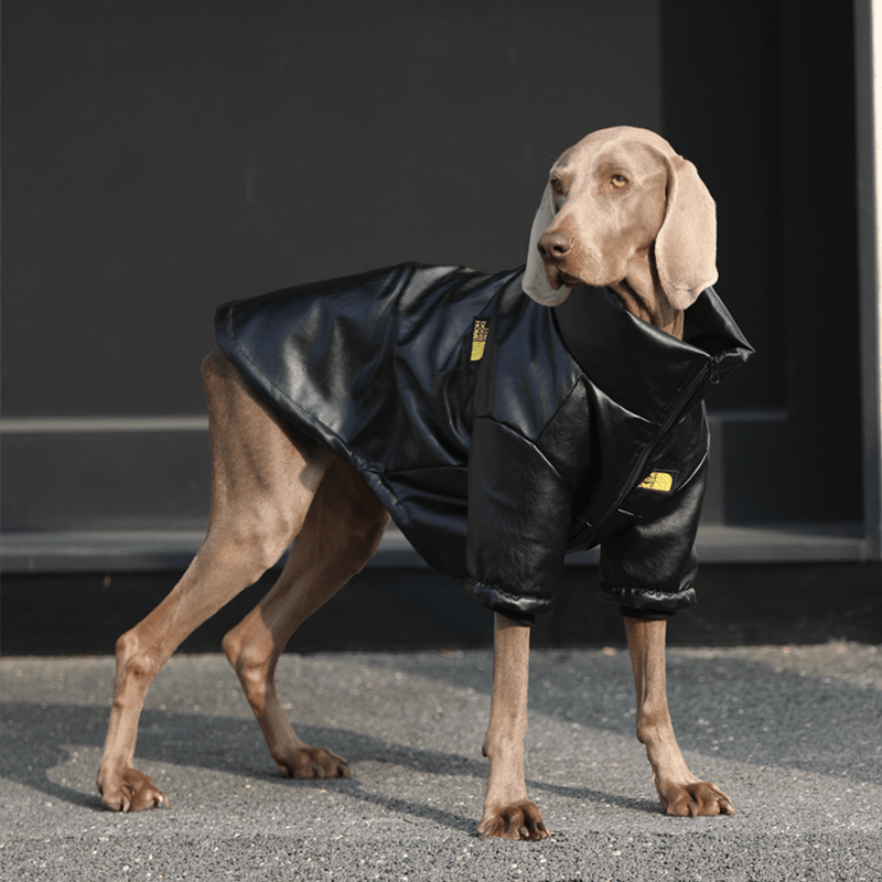Big Dog Clothes PU Warm Fleece Lining Zip Jacket Casual Wear - PIKAPIKA