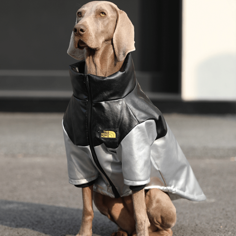 Big Dog Clothes PU Warm Fleece Lining Zip Jacket Casual Wear - PIKAPIKA