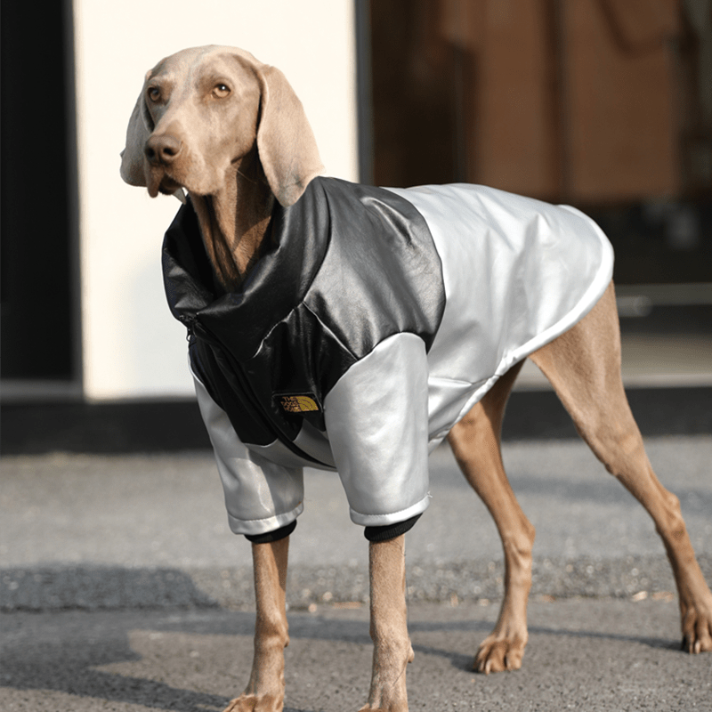 Big Dog Clothes PU Warm Fleece Lining Zip Jacket Casual Wear - PIKAPIKA