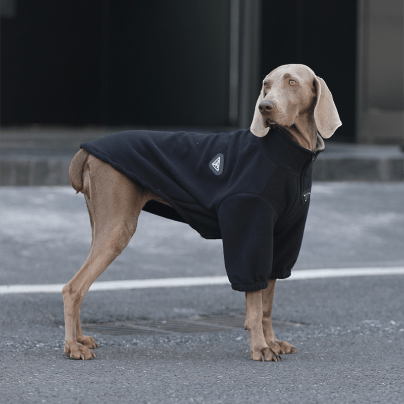 Big Dog Clothes Pullover Sweatshirts Fleece Zip Jacket Casual Wear - PIKAPIKA