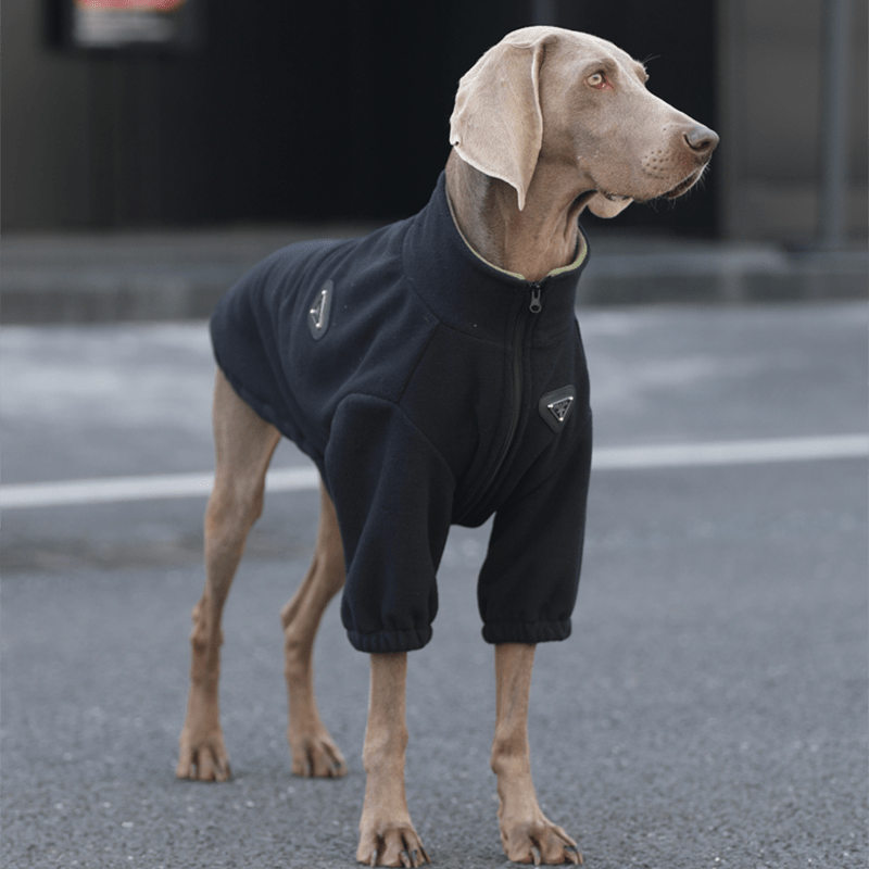 Big Dog Clothes Pullover Sweatshirts Fleece Zip Jacket Casual Wear - PIKAPIKA