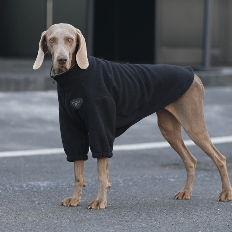 Big Dog Clothes Pullover Sweatshirts Fleece Zip Jacket Casual Wear - PIKAPIKA