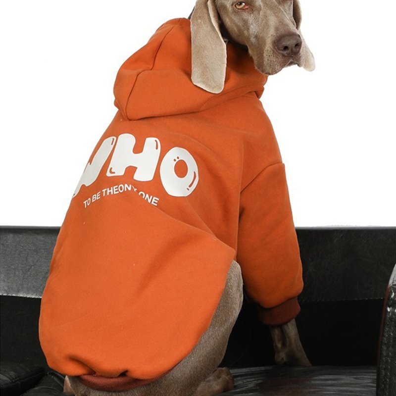Big Dog Clothing Casual Hoodie