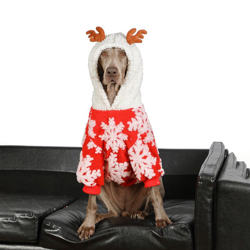 Big Dog Clothing Christmas Fleece Hoodie - PIKAPIKA