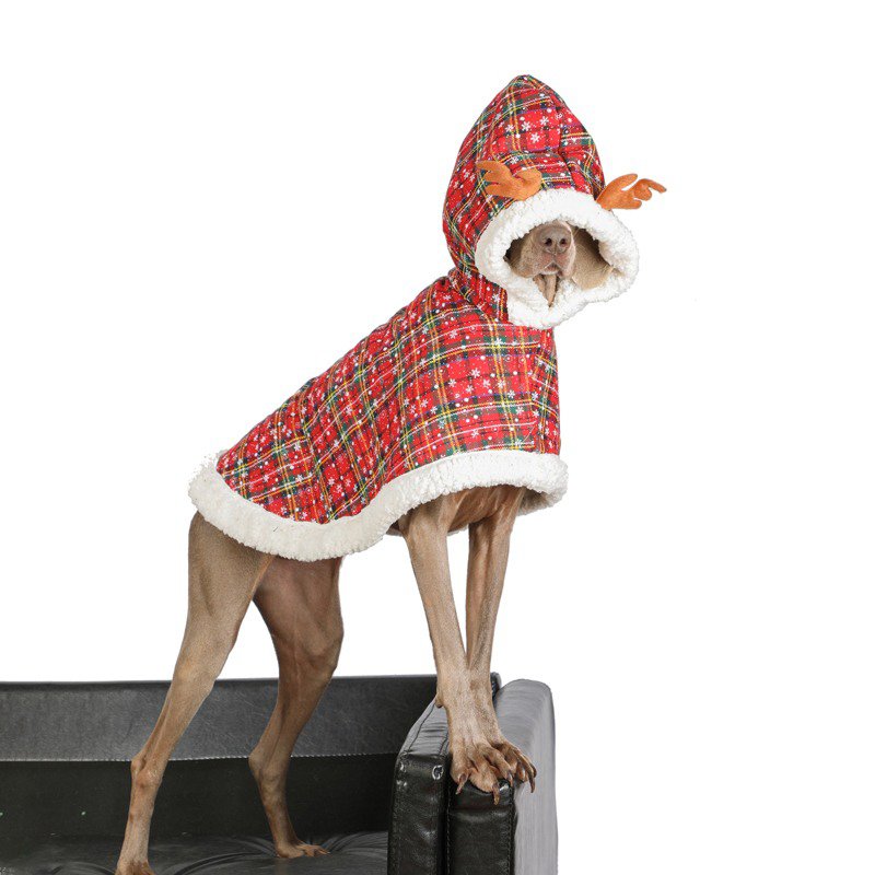 Big Dog Clothing Christmas Hoodie Coat Cloak - PIKAPIKA