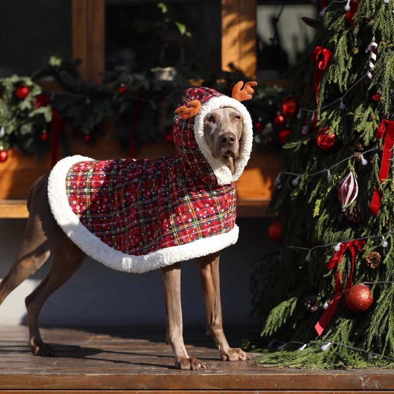 white christmas dresses Funny Christmas Dog Dress white christmas dresses Funny Christmas Dog Dress