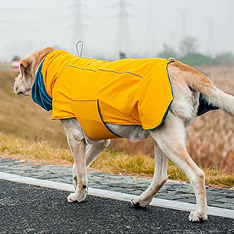 Big Dog Clothing Cotton Padding Coat Winter Jacket - PIKAPIKA