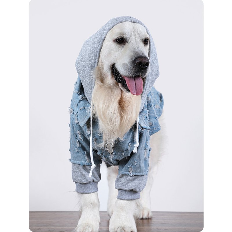 Big Dog Clothing Denim Hoodie Jacket - PIKAPIKA