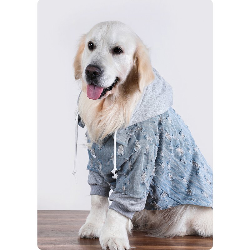 Big Dog Clothing Denim Hoodie Jacket - PIKAPIKA
