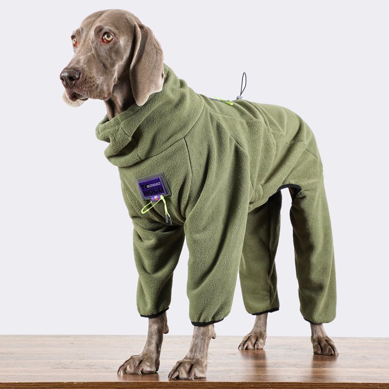 Big Dog Clothing Onesie Fleece Dog - PIKAPIKA