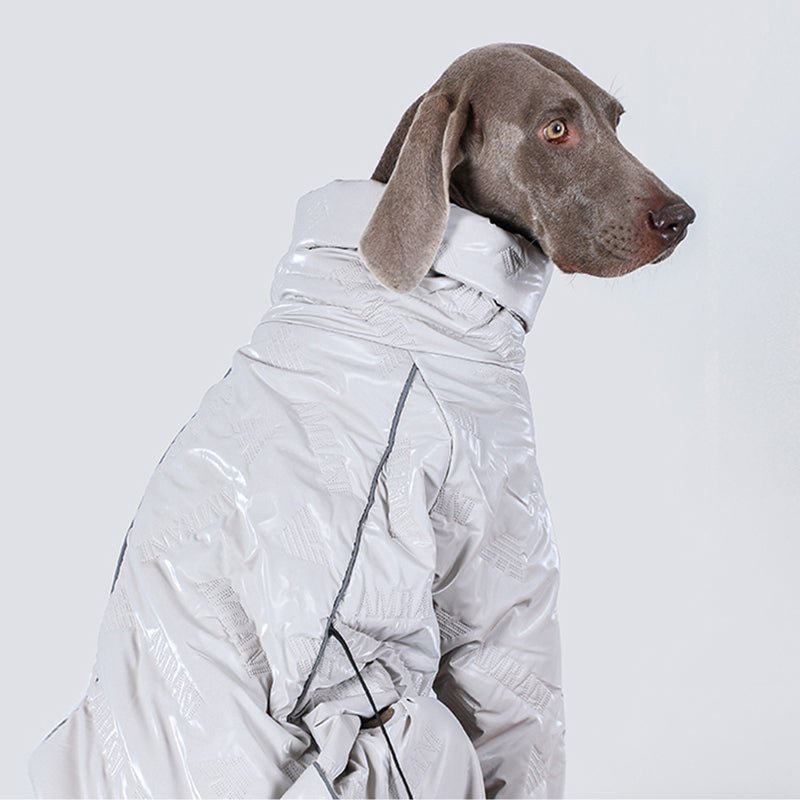 Big Dog Clothing Onesie Jacket Snowsuit Coat - PIKAPIKA