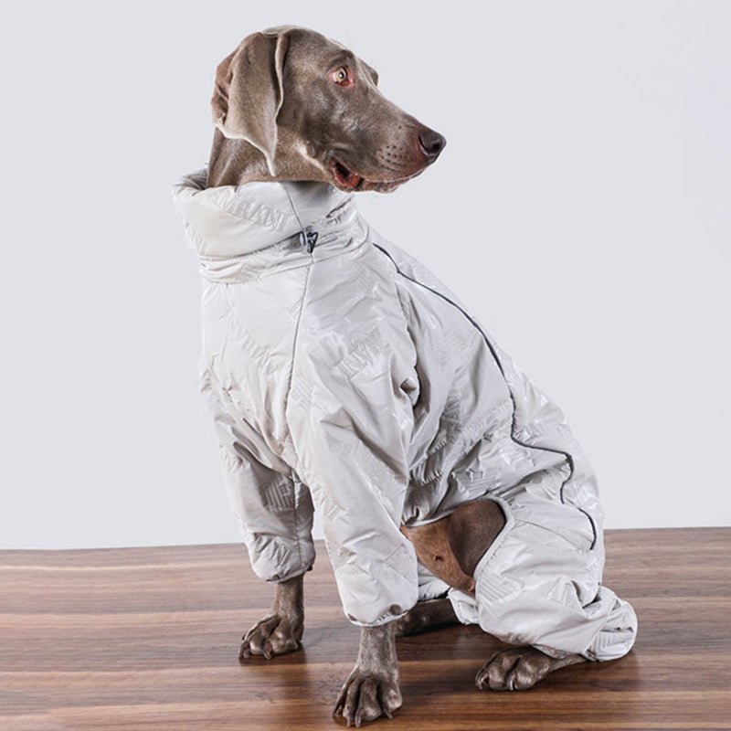 Big Dog Clothing Onesie Jacket Snowsuit Coat - PIKAPIKA
