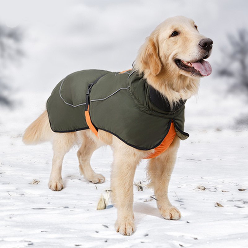 Big Dog Clothing Outdoor Jacket Waterproof Windproof Raincoat - PIKAPIKA