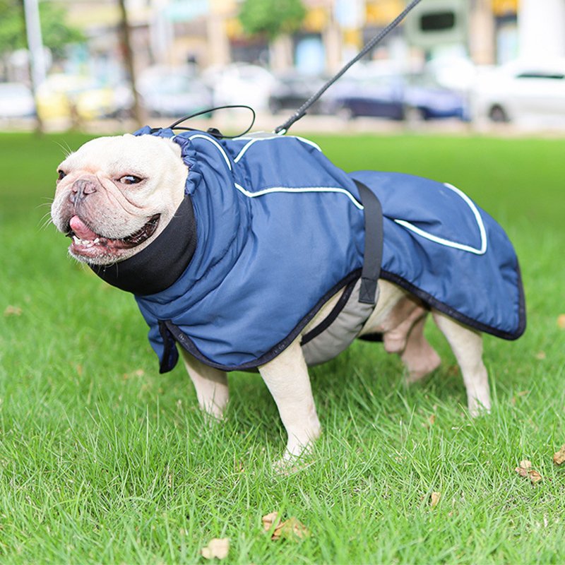 Big Dog Clothing Outdoor Jacket Waterproof Windproof Raincoat - PIKAPIKA