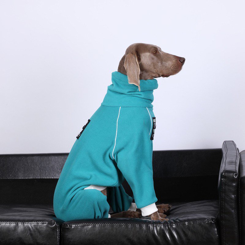 Big Dog Clothing Turtleneck Fleece Onesie - PIKAPIKA