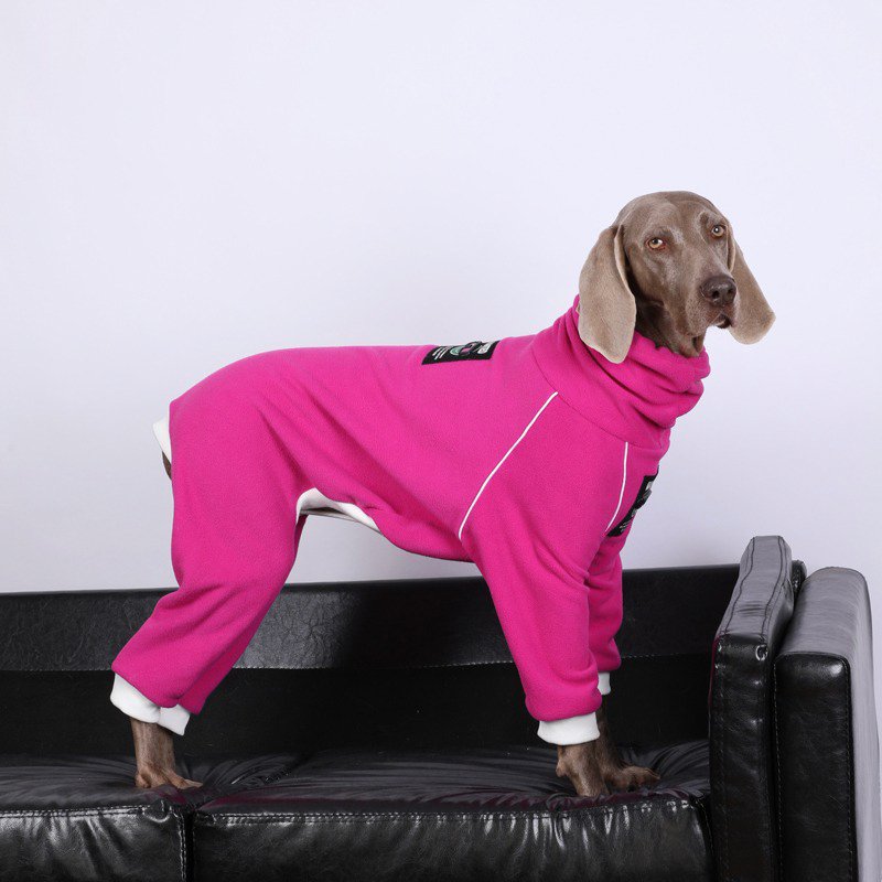 Big Dog Clothing Turtleneck Fleece Onesie - PIKAPIKA