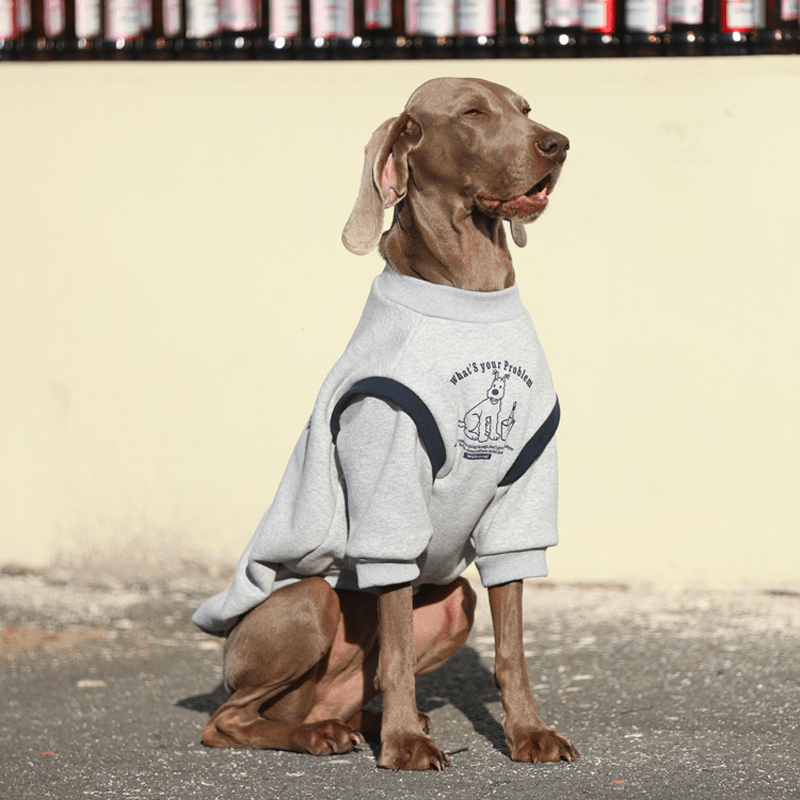Big Dog Hoodie Sweatshirts Cotton Breathable Clothes Casual Wear - PIKAPIKA