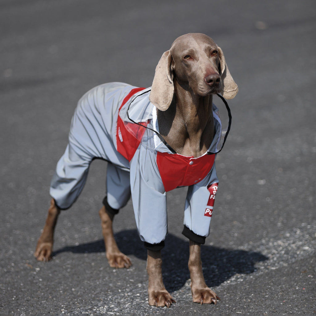 Big Dog Raincoats Large Size Clothes Hoodie Waterproof - PIKAPIKA
