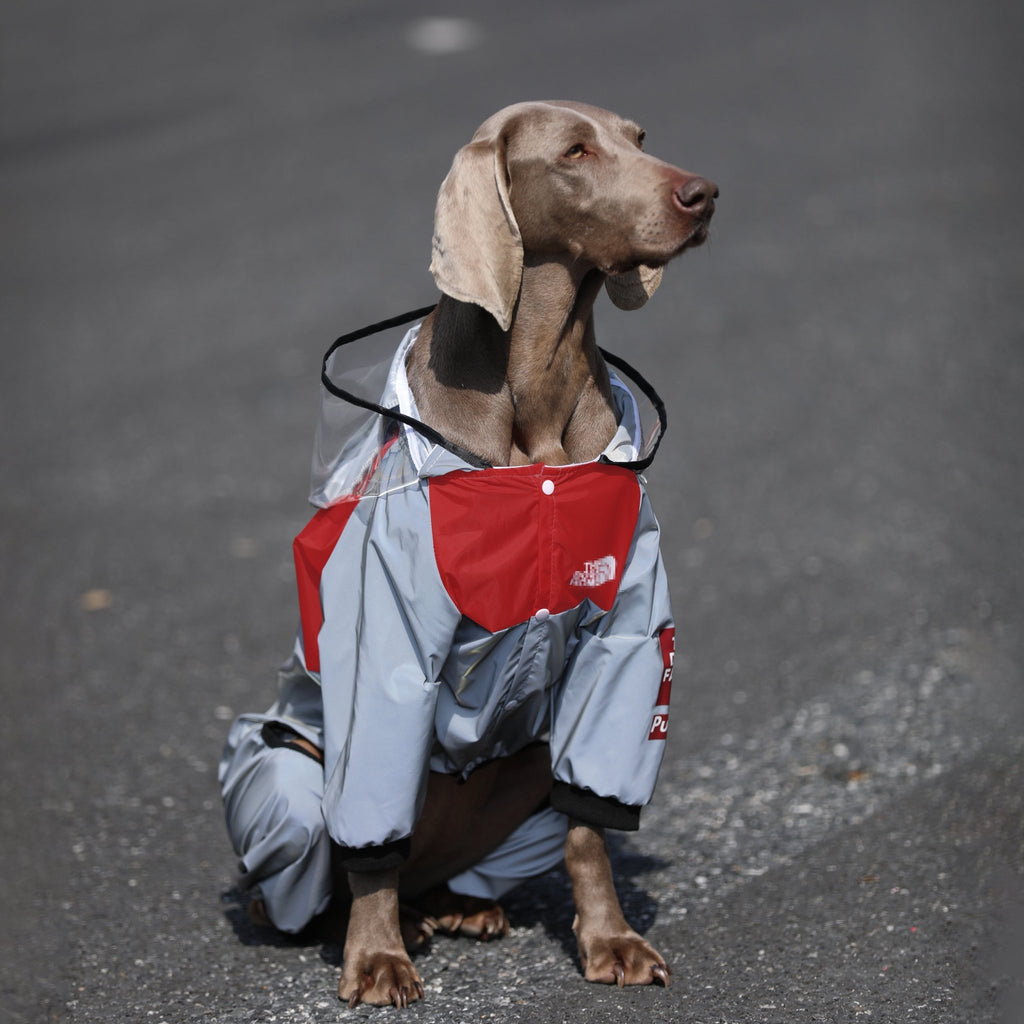 Big Dog Raincoats Large Size Clothes Hoodie Waterproof - PIKAPIKA