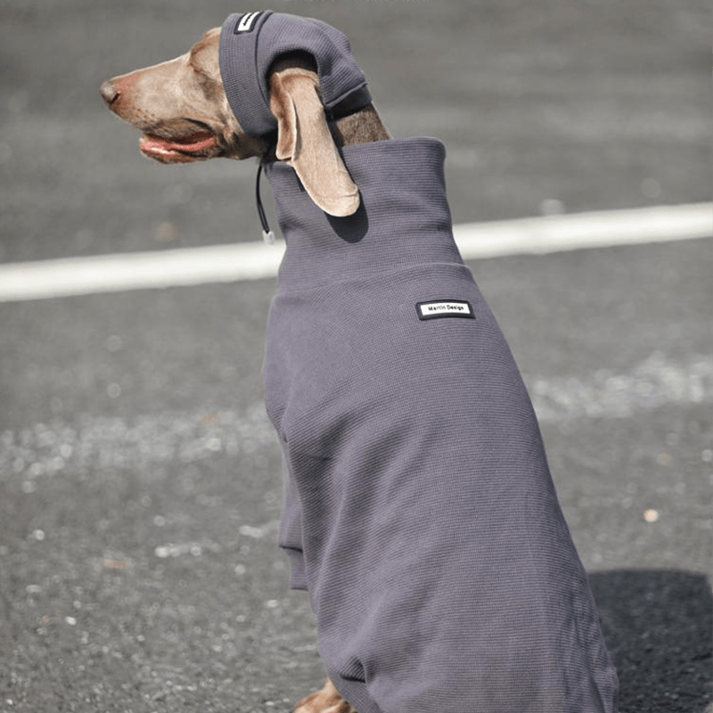 Big Dog Sweatshirts Large Size Dog Clothes Athletic Hoodie Shirts with Hat - PIKAPIKA